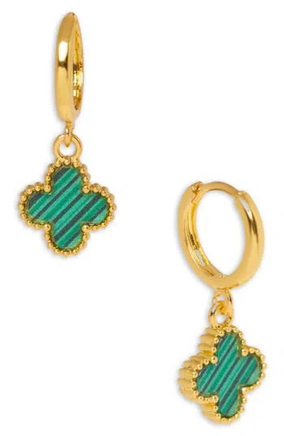 Saachi Clover Charm Huggie Earrings In Gold