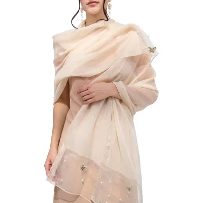 Saachi Embroidered Scarf In Brown