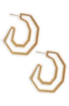 Saachi Modern Hexagon Hoop Earrings In Gold