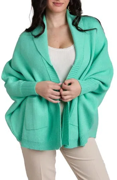 Saachi Oversize Ribbed Knit Cardigan In Aqua