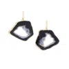 Saachi Women's Black Agate Dangle Earrings In Black