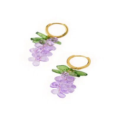 Saachi Women's Purple Grape Cluster Huggie Earrings In Multi