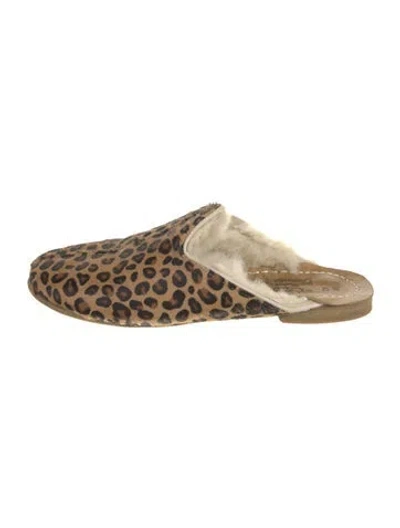 Pre-owned Sabah Ponyhair Animal Print Mules In Neutral