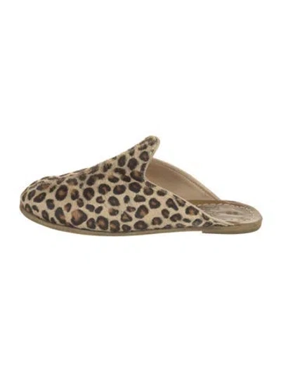 Pre-owned Sabah Ponyhair Animal Print Mules In Neutrals