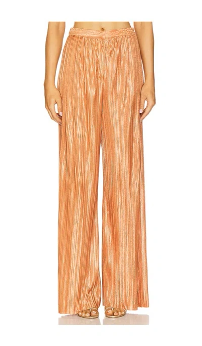 Sabina Musayev Rainy Pants In Brown
