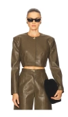 Sabina Musayev Tim Jacket In Brown