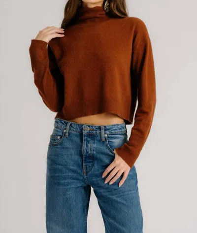 Sablyn Sable Turtleneck Sweater In Mahogany In Multi