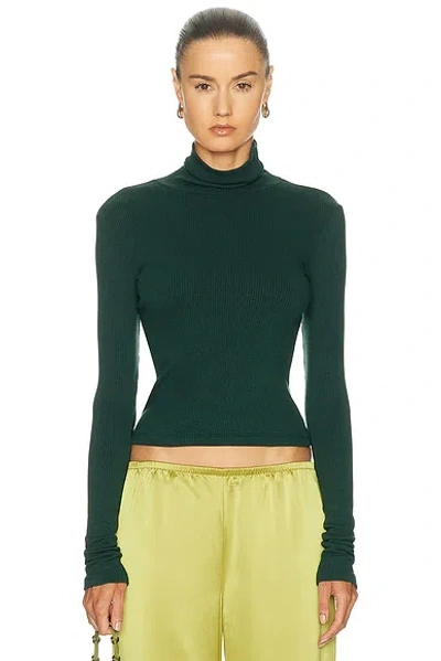 Sablyn Vera Extra Slouchy Turtleneck Top In Green