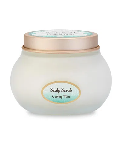 Sabon Cooling Mint Hair Scalp Scrub Jar, 300gr In Transparent