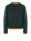 Sacai Contrasting-trim Sweater In Green