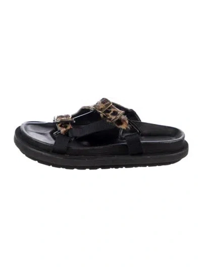 Pre-owned Sacai Ponyhair Animal Print Slides In Blue