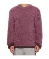 Sacai Round Neck Long-sleeved Sweater In Multi