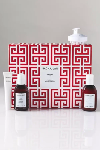 Sachajuan Scalp Care Kit In Multi