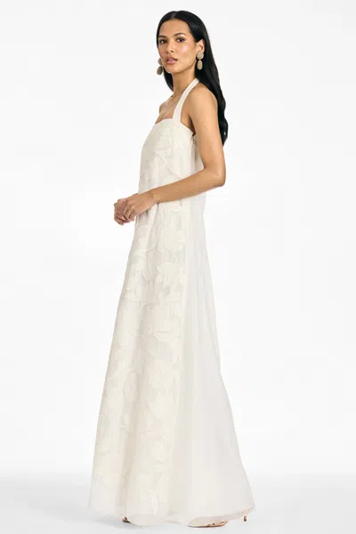 Sachin & Babi Amal Gown