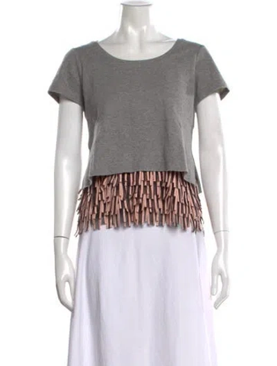 Pre-owned Sachin & Babi Crew Neck Short Sleeve Crop Top In Grey