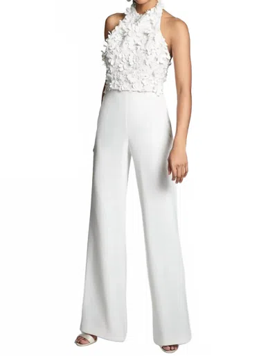 Sachin & Babi Rowan Pant In Ivory In Gray