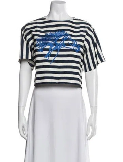 Pre-owned Sachin & Babi Striped Crew Neck Crop Top In Blue