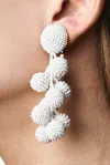 Sachin & Babi Coconuts Earrings