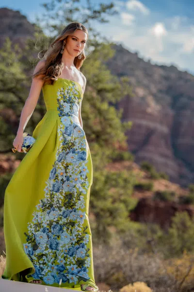 Sachin & Babi Larisa Gown