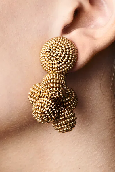 Sachin & Babi Mini Coconuts Earrings In Brown