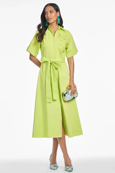 Sachin & Babi Willow Dress In Green