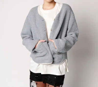 Sadie & Sage Bluebird Shearling Jacket In Grey In Gray