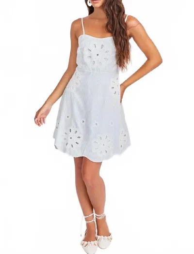Sadie & Sage Lollygag Mini Dress In Light Sage Green/white