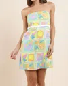 Sadie & Sage Mimosa Mini Dress In Multi In Multi