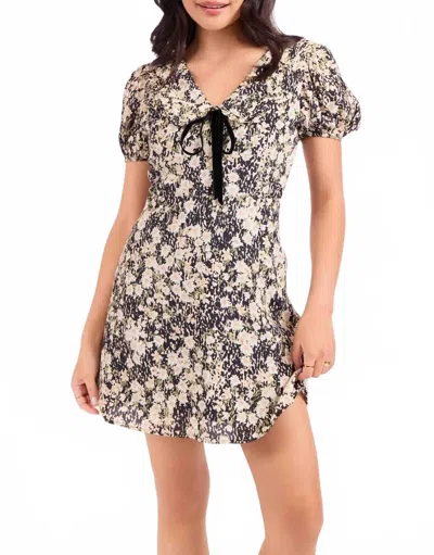 Sadie & Sage Painted Fields Mini Dress In Black Multi