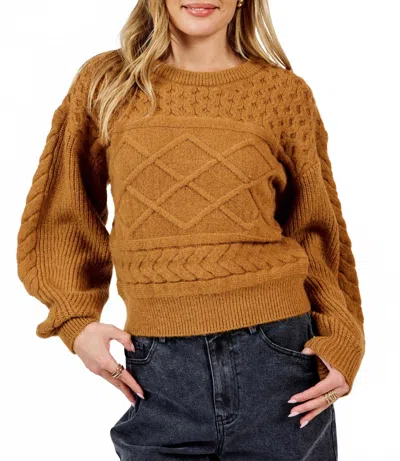 Sadie & Sage Raised Knit Crewneck Sweater In Brown