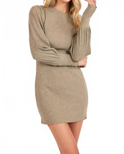 Sadie & Sage Thistle Cuff Mini Dress In Sage Gray In Brown