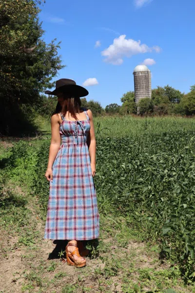 Sadie & Sage Women's Elvira Flannel Milkmaid Midi Dress In Blue Multi