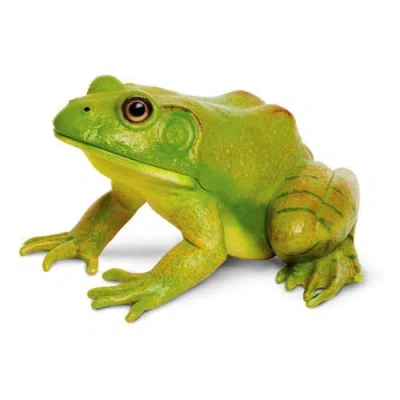 Safari Ltd. American Bullfrog