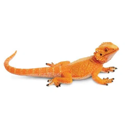 Safari Ltd. Kids'  Bearded Dragon In Transparent