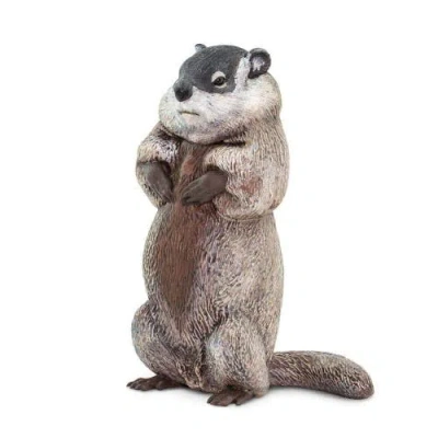 Safari Ltd. Groundhog