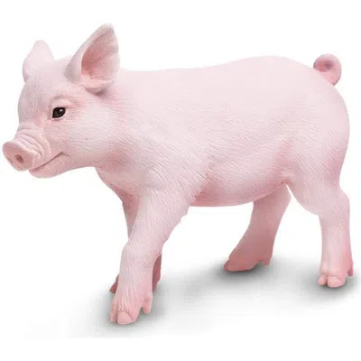 Safari Ltd. Kids'  Piglet