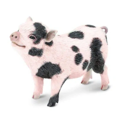 Safari Ltd. Kids'  Pot-bellied Pig