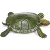 Safari Ltd. Red-eared Slider Turtle