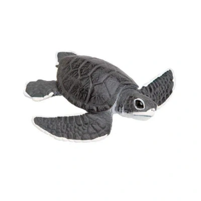 Safari Ltd. Kids'  Sea Turtle Baby In Transparent