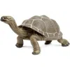 Safari Ltd. Tortoise Toy In Transparent