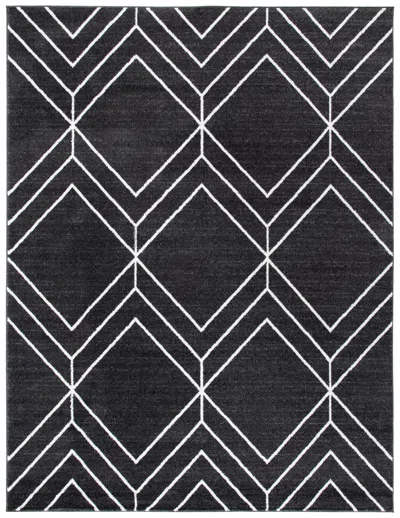 Safavieh Adirondack Collection Rug In Black