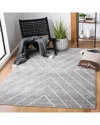 Safavieh Adirondack Nahla Power Loomed Rug Grey / Ivory In Gray