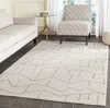 Safavieh Amherst Machine Made Area Rug, Ivory / Grey Contemporary Style Easy Care In White