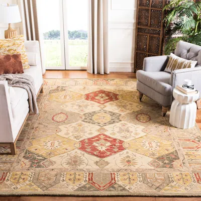 Safavieh Anatolia Hand Made Area Rug, Beige / Multi Traditional Style Non-shedding