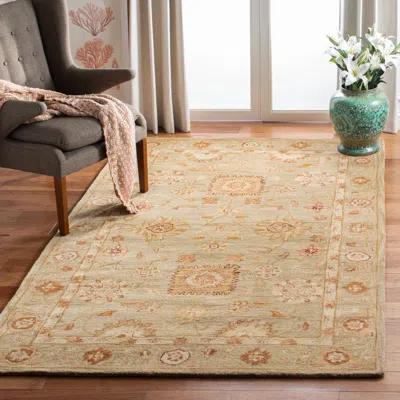 Safavieh Anatolia Hand Made Area Rug, Sage / Sage Traditional Style Non-shedding In Neutral