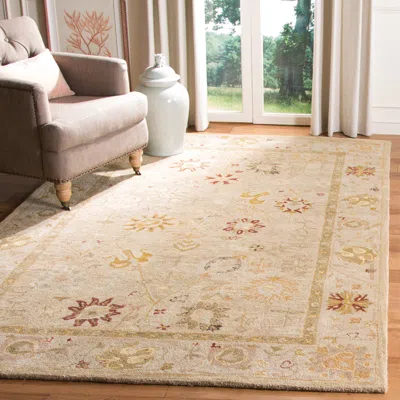 Safavieh Anatolia Hand Made Area Rug, Taupe / Beige Traditional Style Non-shedding In Neutral