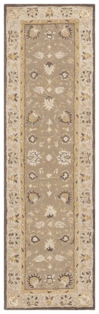 Safavieh Anatolia Handmade Rug In Brown