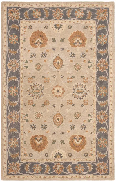 Safavieh Anatolia Handmade Rug In Neutral