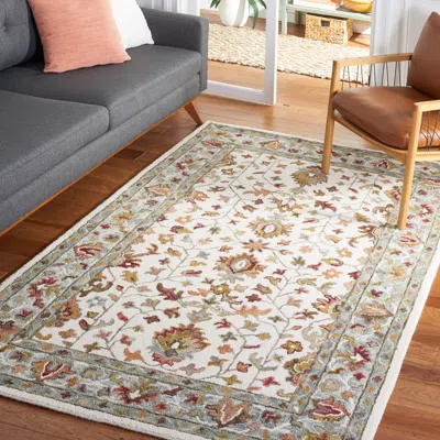 Safavieh Aspen Hand Made Area Rug, Ivory / Grey Traditional Style Non-shedding In Multi
