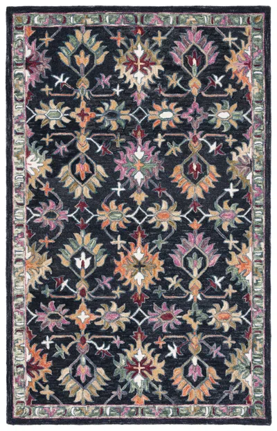 Safavieh Aspen Handmade Rug In Multi